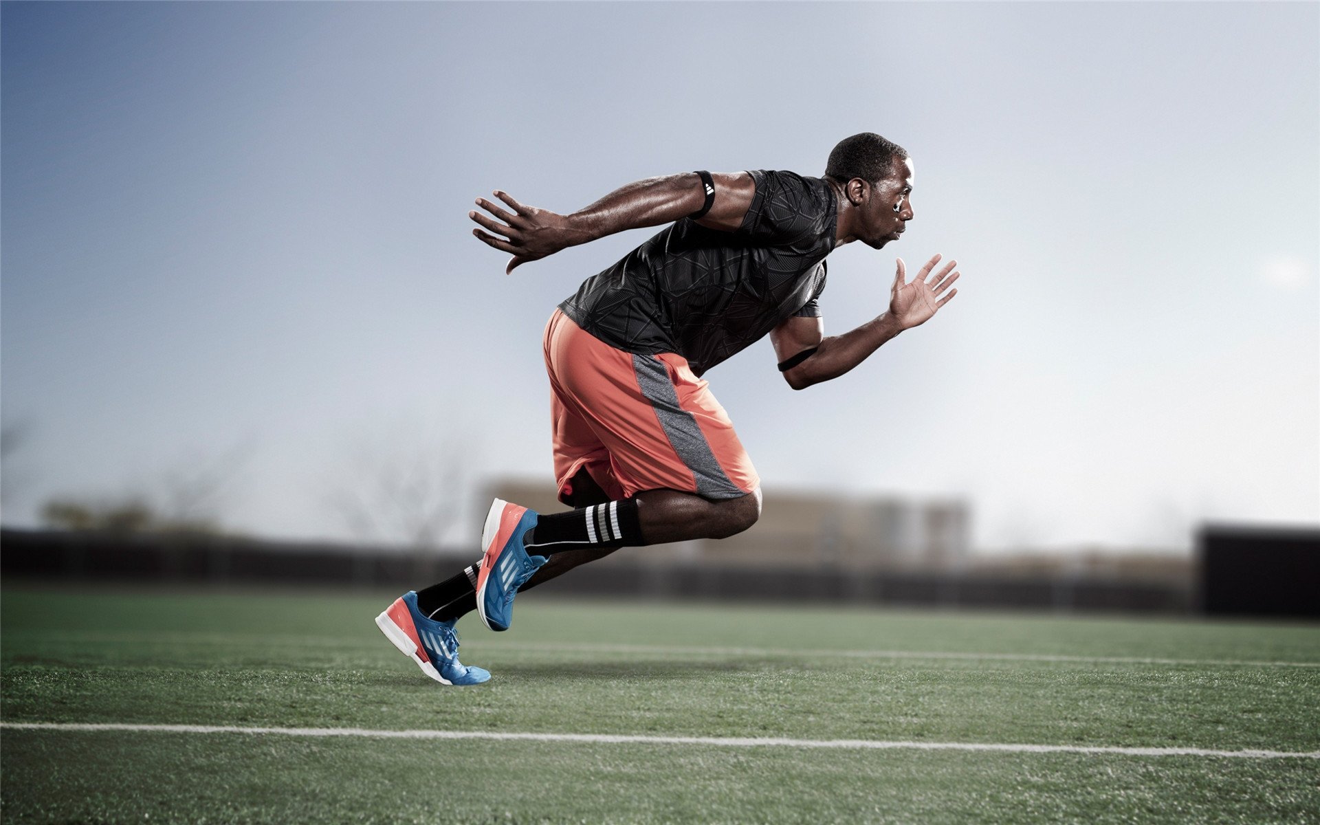 _赛事现场:粉丝疯狂欢呼,场面炸裂_,粉丝有多疯狂